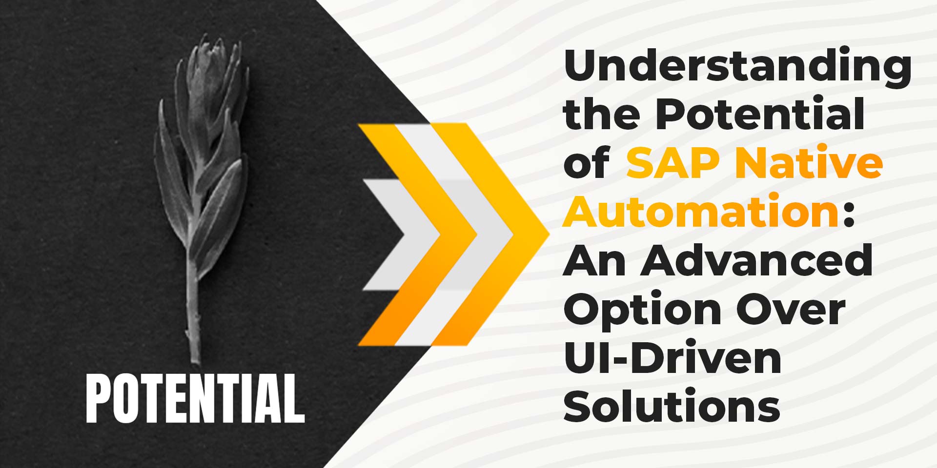 Understanding the Potential of SAP Native Automation- An Advanced Option Over UI-Driven Solutions